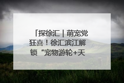 探徐汇｜萌宠党狂喜！徐汇滨江解锁“宠物游轮+天台乐园”双玩法